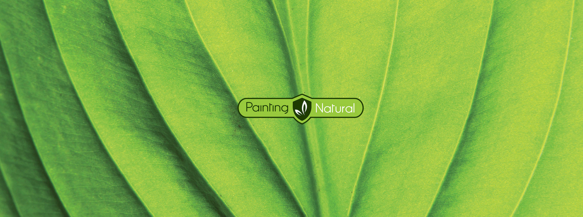 Pitture ecocompatibili Painting Natural