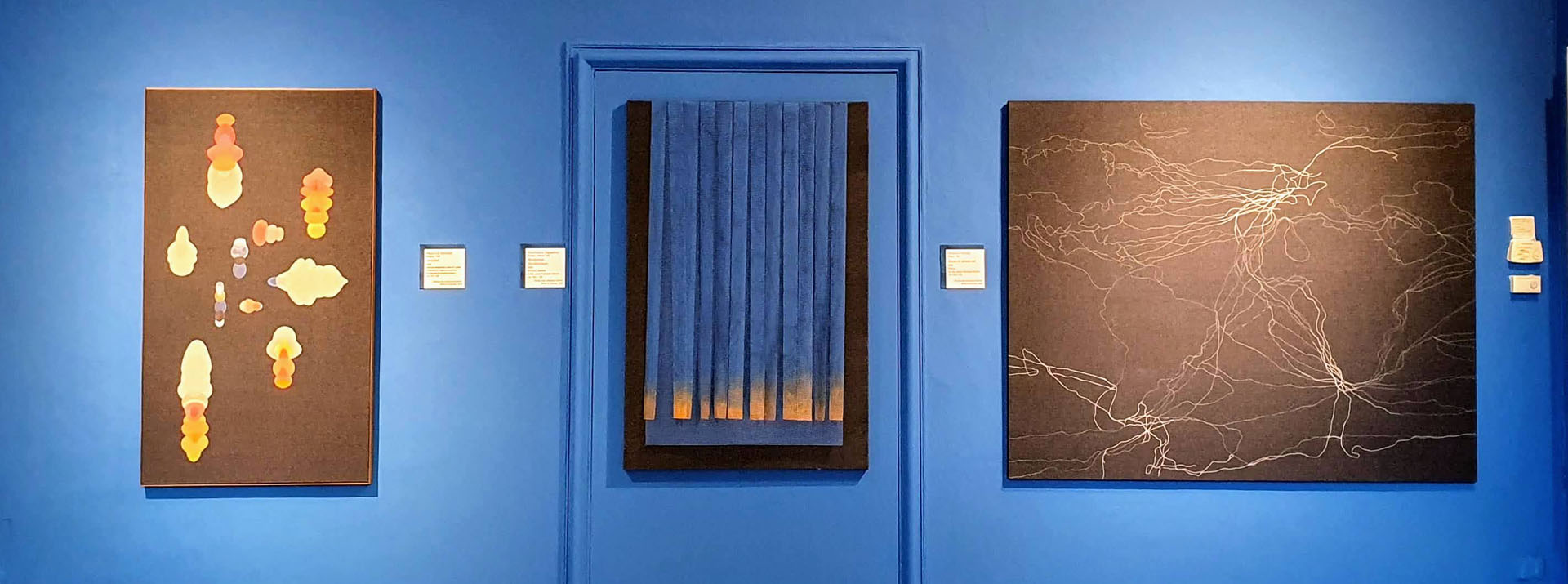 Decorazione degli spazi espositivi della mostra Autunno Blu a cura di Boero