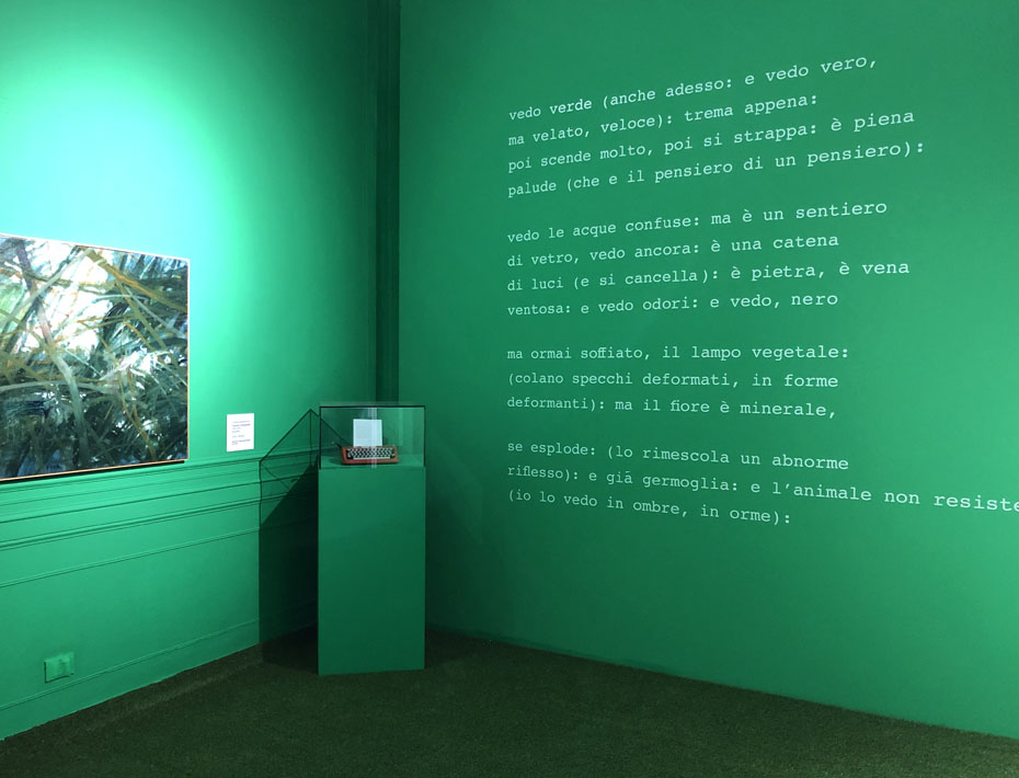 Decorazione degli spazi della mostra dedicata a Raimondo Sirotti a cura di Boero