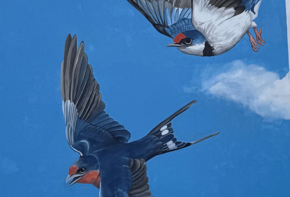 I COLORI BOERO PER LA RIQUALIFICAZIONE URBANA: UN MURALE A CATANIA