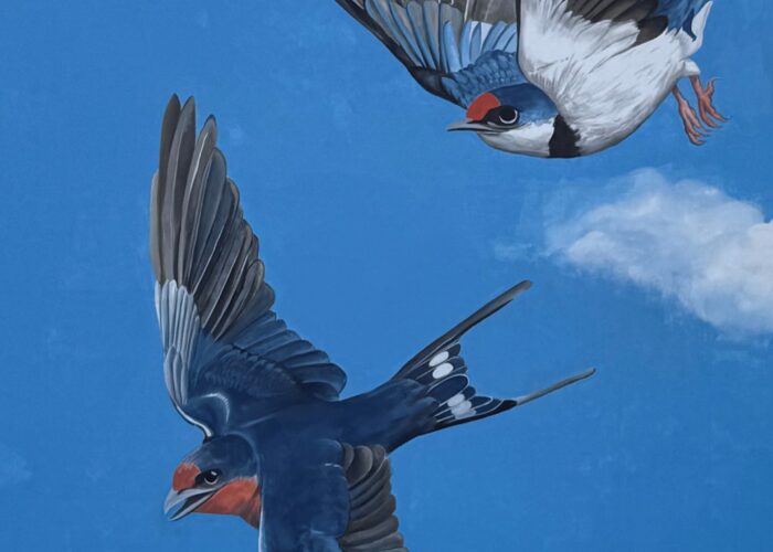 I COLORI BOERO PER LA RIQUALIFICAZIONE URBANA: UN MURALE A CATANIA