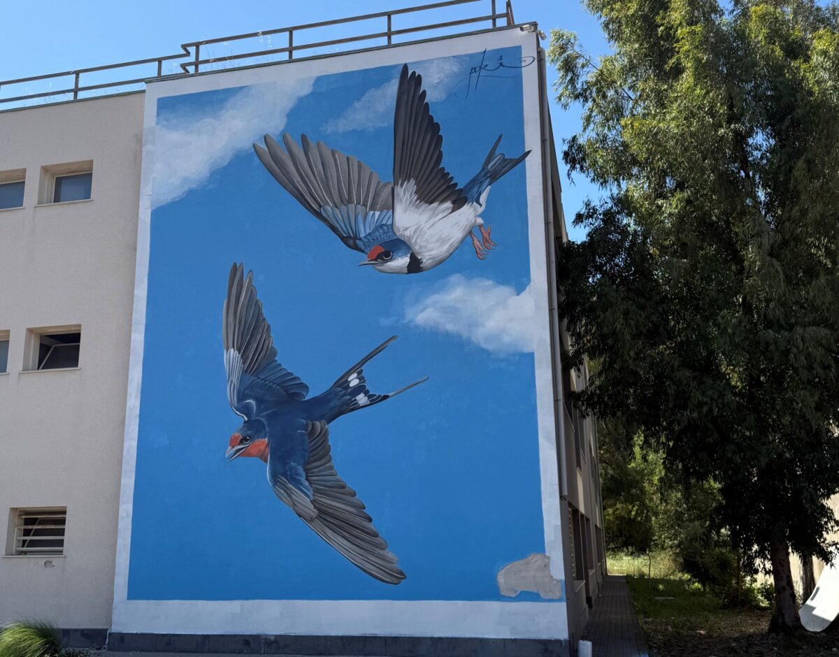I colori Boero per la riqualificazione urbana: un murale a Catania