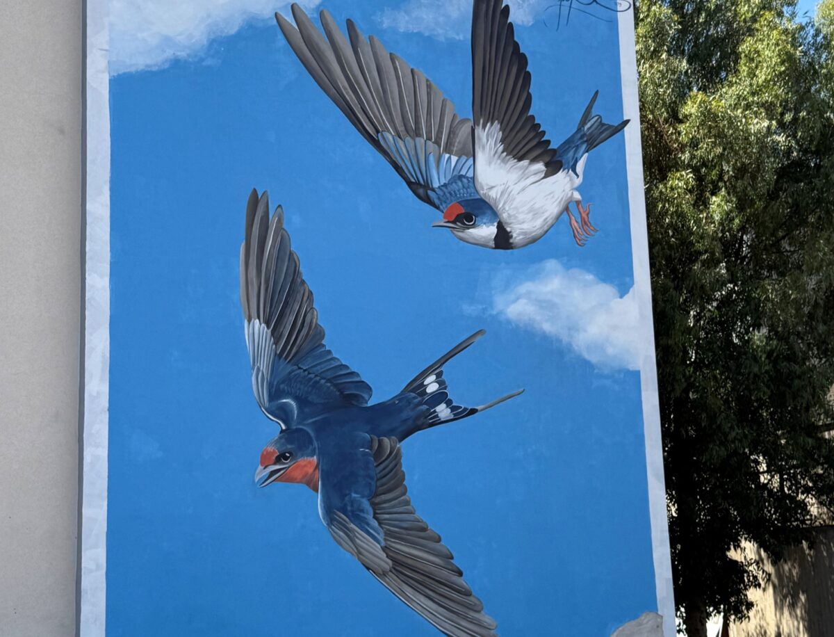 I colori Boero per la riqualificazione urbana: un murale a Catania