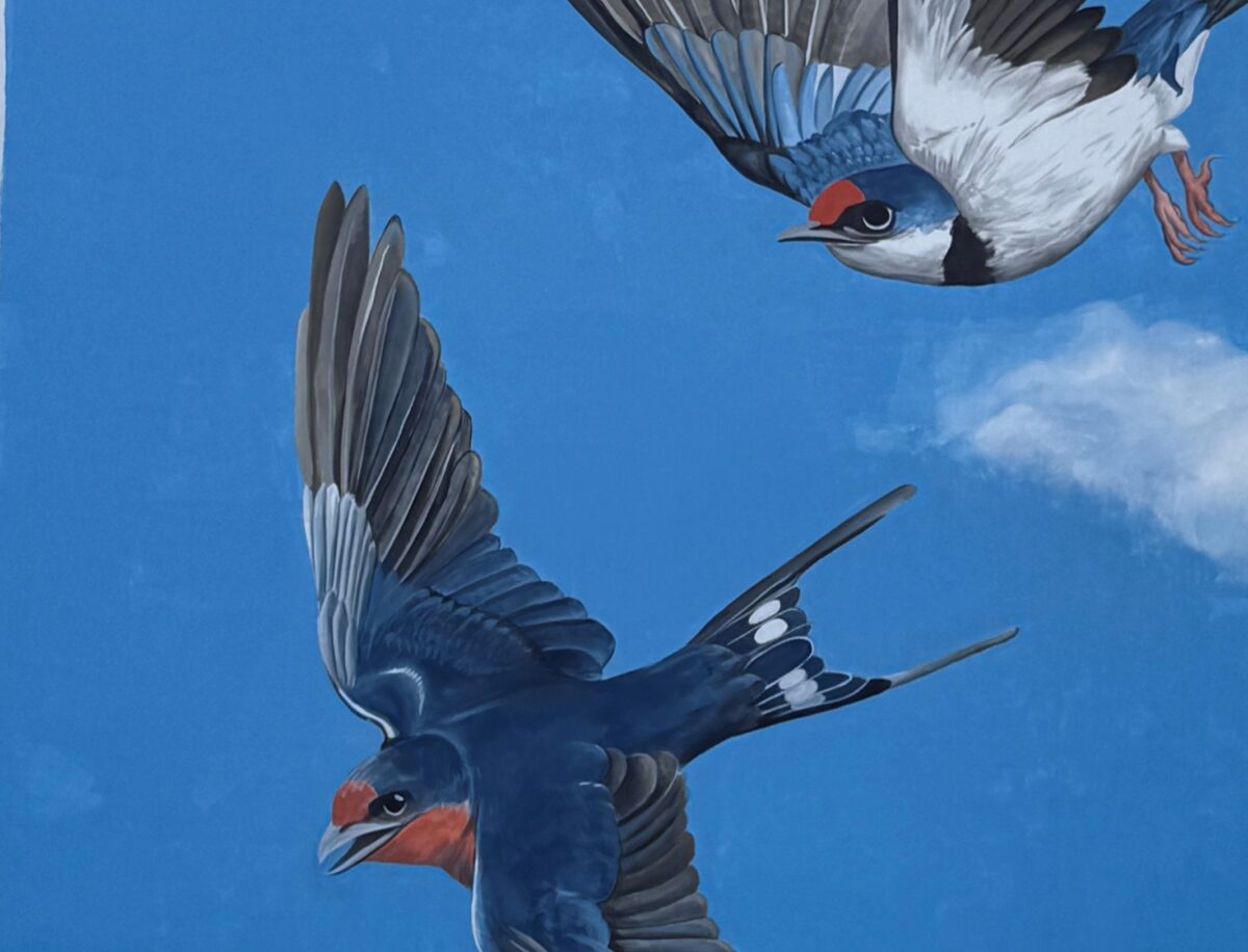 I colori Boero per la riqualificazione urbana: un murale a Catania