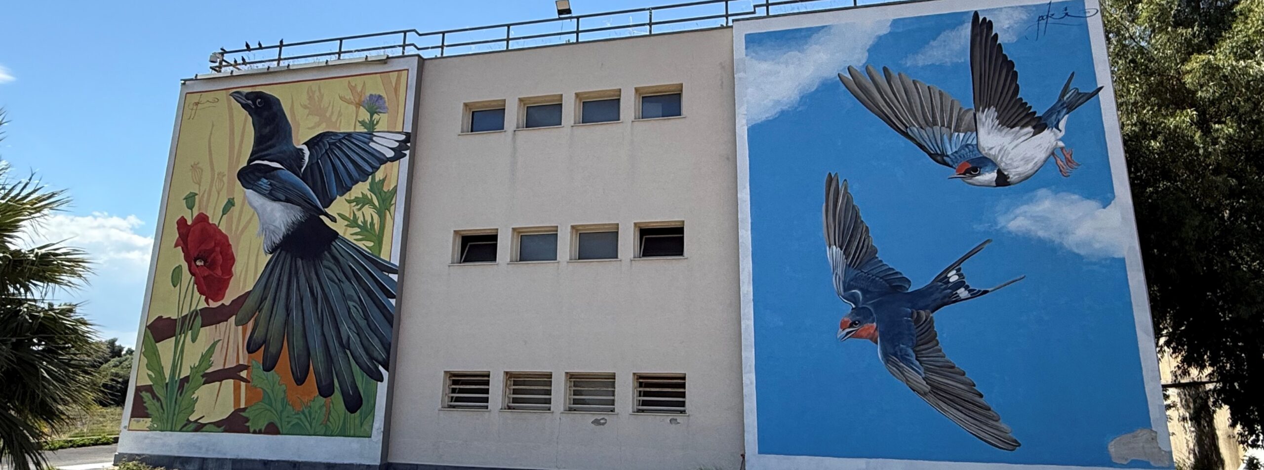 I COLORI BOERO PER LA RIQUALIFICAZIONE URBANA: UN MURALE A CATANIA